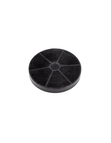 FILTRO CARBON CAMPANA REIN