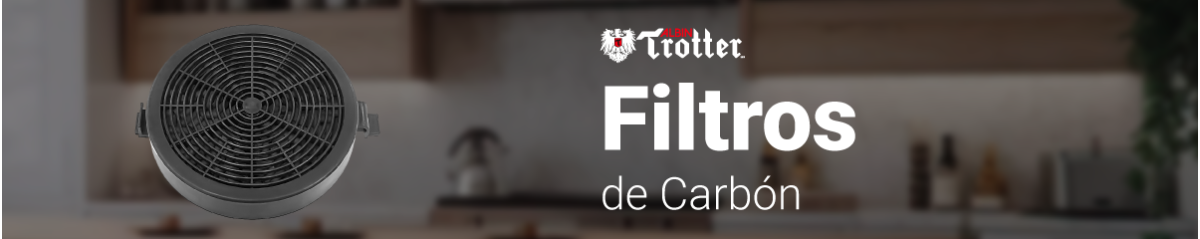 Filtros de Carbón