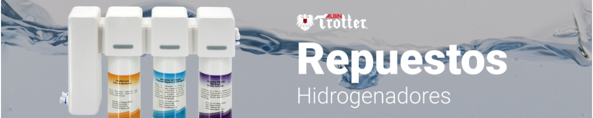 Repuestos Hidrogenadores